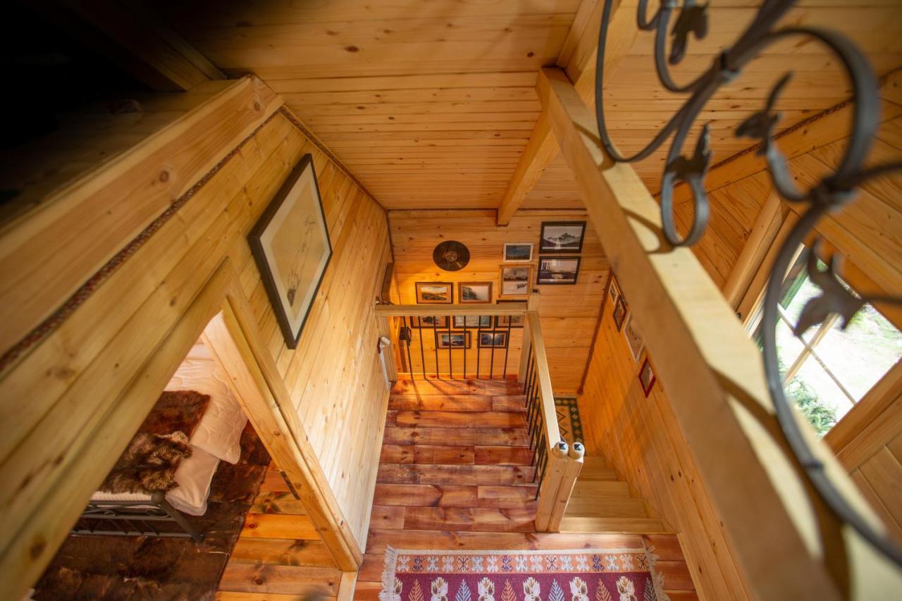 Villa Piccolo Orso Žabljak Екстериор снимка