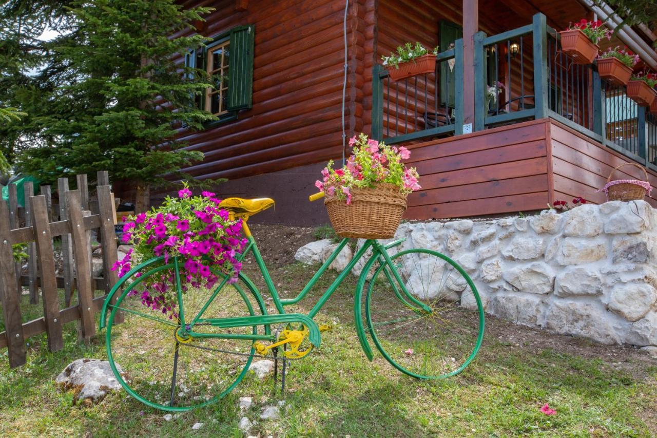 Villa Piccolo Orso Žabljak Екстериор снимка