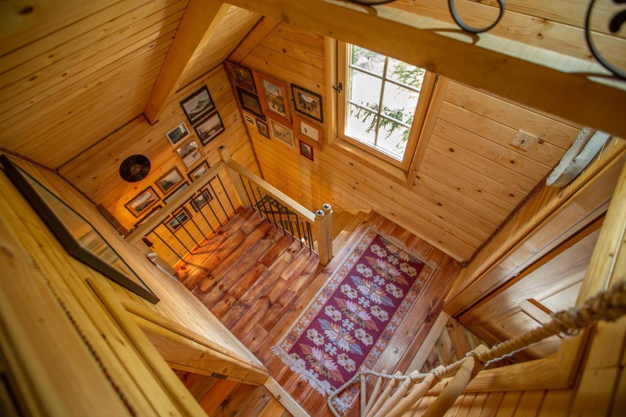 Villa Piccolo Orso Žabljak Екстериор снимка